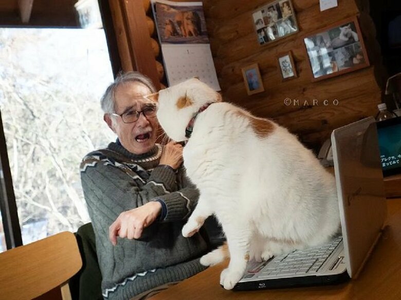 お父さんへパンチ！（提供：MARCOさん）