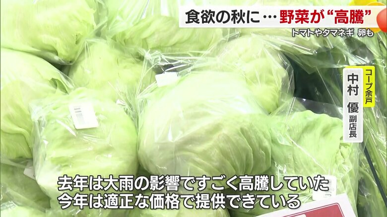 しばらくは我慢と工夫が必要