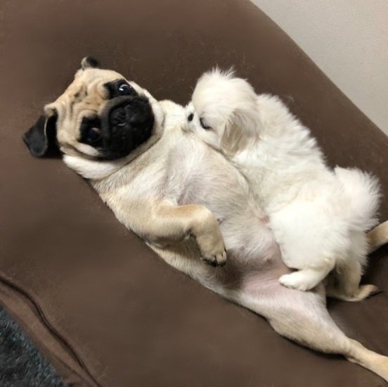 小結ちゃんは小さいころからグイグイ
