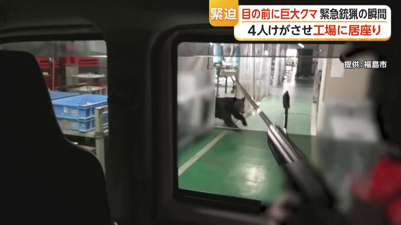 廊下を横切るクマ