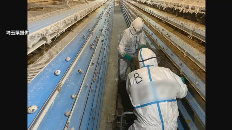 鳥インフルエンザが発生した養鶏場での作業　提供：埼玉県