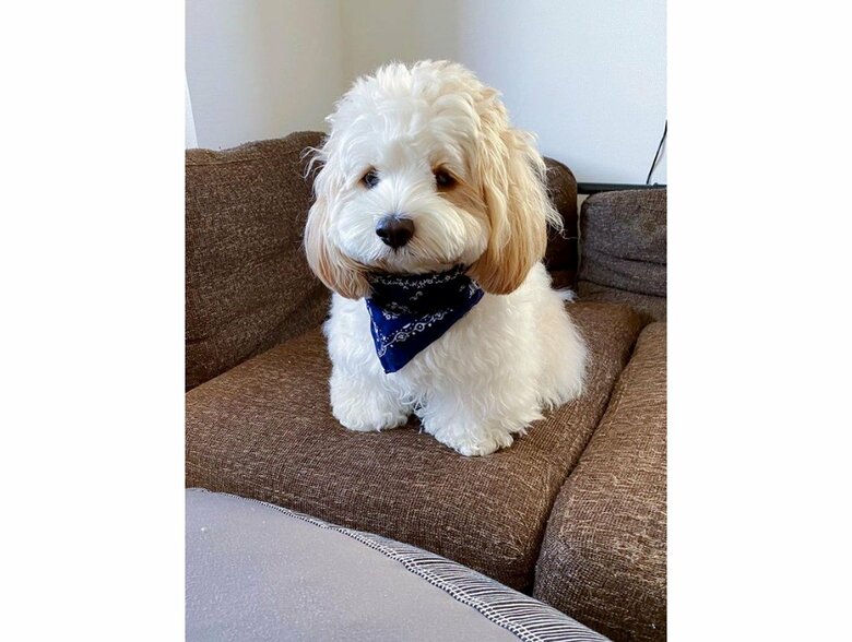 提供：宮原幸恵さん