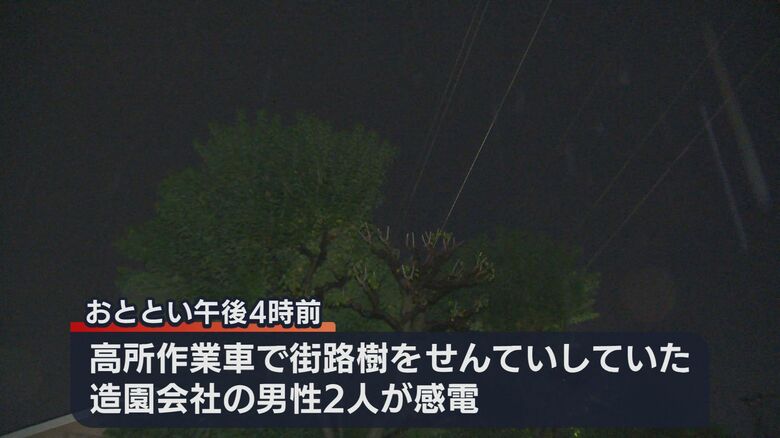 街路樹せんてい中に感電