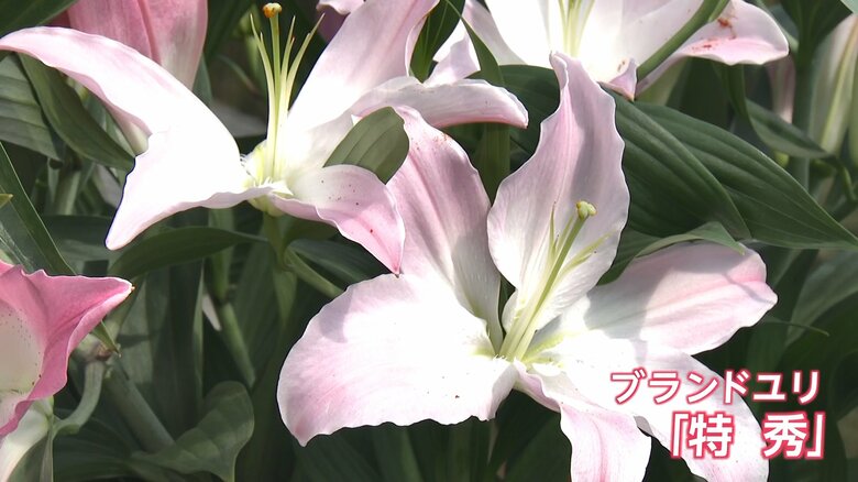 温度管理や水分管理などを徹底