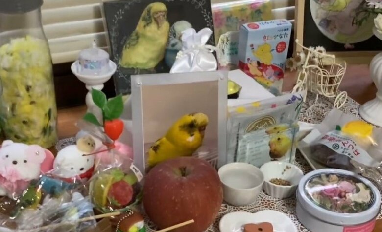 ぴっぴくんも天国から見守っているはずだ