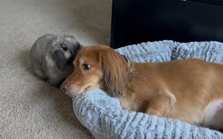 提供：和泉ユタカさん