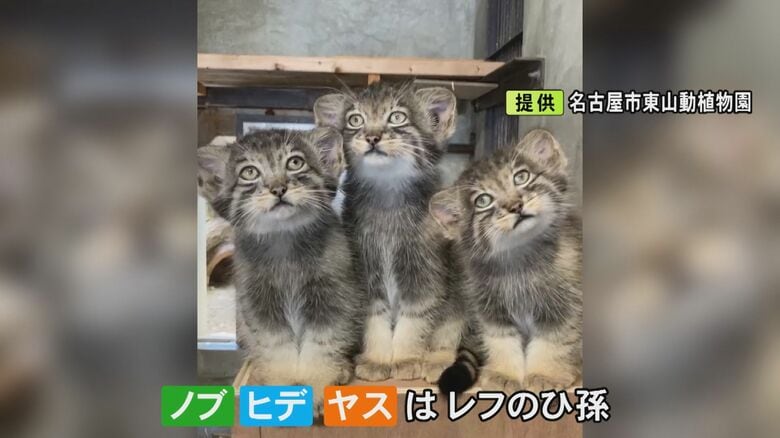ニュースONE