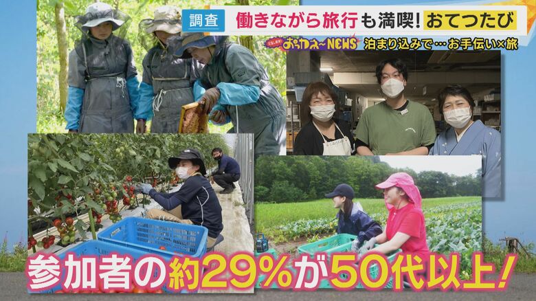 中高年・シニアに人気