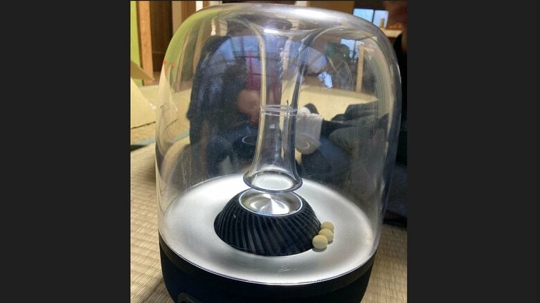 スピーカーにボーロが入ってしまった（提供：寺嶋瑞仁さん）