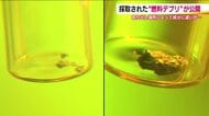 燃料デブリを公開　東京電力・福島第一原発から2回にわたり採取　場所により違いも