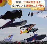 生き物や人気キャラが大空遊泳　「国際たこあげ祭り」に世界から愛好家集結　81人が“空中ダンス”競う大会も　フランス
