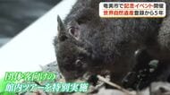 世界自然遺産登録から５年　奄美市で記念イベント開催・鹿児島