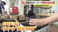 長雨で葉物野菜高騰　まもなく収穫迎える「ミニ白菜」は？　ほぼ毎日「詰め放題」開催のローカルスーパーも