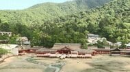 テレビ初潜入！圧巻の美しさ…厳島神社大鳥居の大規模修理　「鎮石」洗い清めも【広島発】