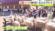 3連休は行楽日和　ヒツジとの触れ合い・富士山とブランコ・もみじ狩り 各地にぎわう