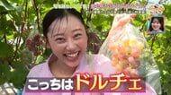 司馬遼太郎が絶賛「日本一美しい村」絶景と旬を迎えた20品種のブドウを贅沢に味わう・大分