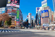 「渋谷スクランブル交差点」の巨大セットが栃木・足利市に登場!? どこまで再現するのか聞いてみた