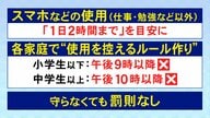 実効性に疑問の声も…“スマホ1日2時間まで”の条例案が市議会で審議入り 市長「成立してから丁寧に説明」