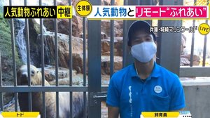 オンラインで動物の“餌やり”や“リモート芸”...コロナ禍で新しいレジャースタイル登場!スタジオでも体験してみた