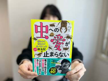 生物ライター平坂寛さんによる著書『虫への愛が止まらない』。虫嫌いだった担当編集者が明かす制作秘話
