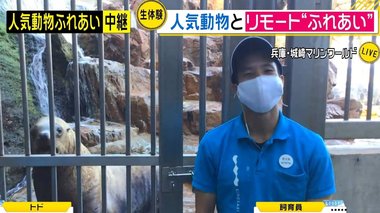 オンラインで動物の“餌やり”や“リモート芸”...コロナ禍で新しいレジャースタイル登場!スタジオでも体験してみた