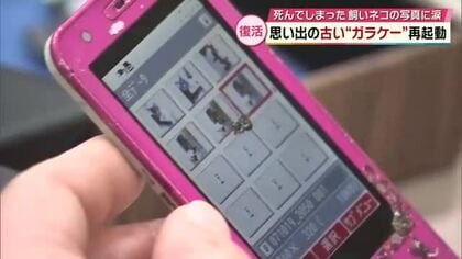 思い出の古い“ガラケー”再起動　飼い猫の写真復活に涙する人も「充電器がなくどうしていいか…」大分