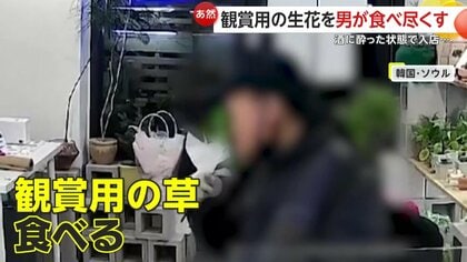 “まるでサラダバー”無人生花店で酔っぱらい男が“観賞用生花”食べ尽くす様子がカメラに　3時間滞在で店内荒れ放題　韓国・ソウル