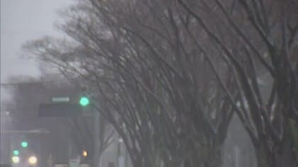 県内全域に暴風雪警報　雪を伴った暴風や高波に警戒を　積雪が一気に増加する恐れ　秋田