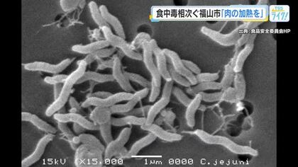 食中毒相次ぐ福山市　保健所職員ら予防を呼び掛け　肉の十分な加熱、調理器具をしっかり洗浄など　広島