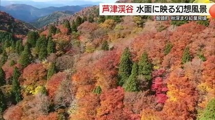 “錦秋”迎えた渓谷美　山陰各地の紅葉名所は見ごろのピーク！ダイナミックな景観が行楽客を魅了