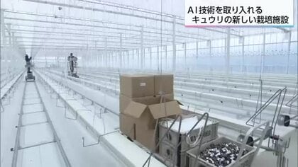 AIや養液栽培などの新技術を取り入れたきゅうりの栽培施設「未来グリーンファクトリー木城」が完成