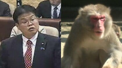 「公園のサル削減」発言見返りに100万円受け取ったか　現職市議を逮捕　過去にはサル“脱走”で大捕物も　鳥取・米子市