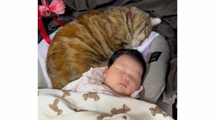「ニャンとも尊すぎる空間」寄り添って眠る猫と赤ちゃんの姿に癒される…起きたりしなかった？母親に当時の様子を聞いた