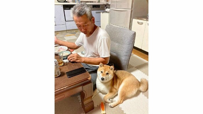 お父さんが着ているのが、むぎちゃんが下に敷いていた肌着