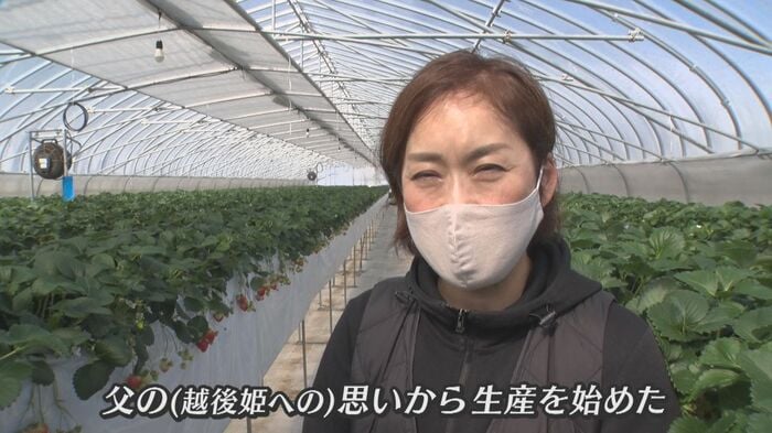 父の思いを引き継いで越後姫生産へ