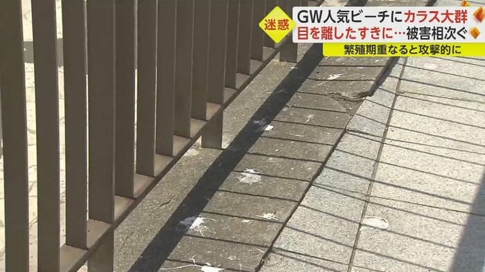 柵の下も…