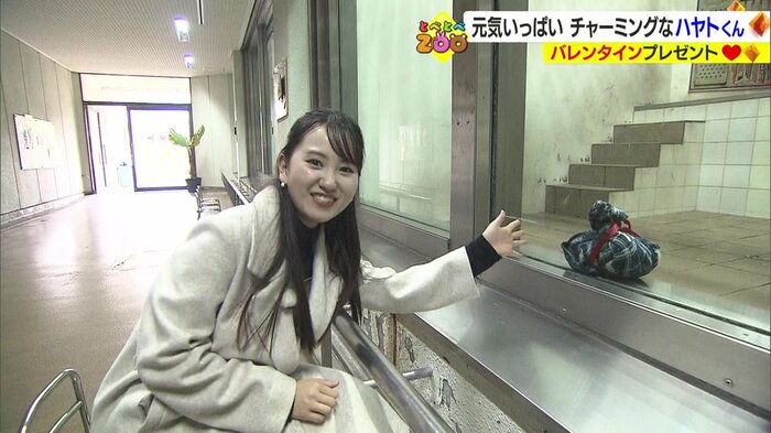 曽我部アナから毛布のプレゼントが渡されたが…