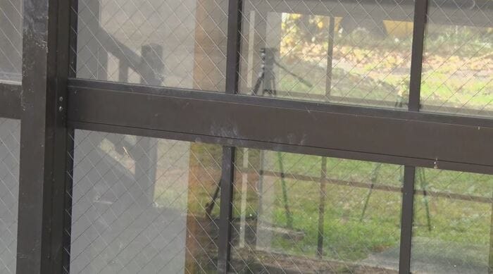 クマの足跡らしきもの