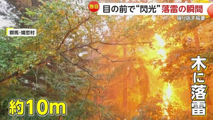 木に雷が落ちた瞬間(FNN投稿サイト「ビデオPost」)(提供:モーリー)