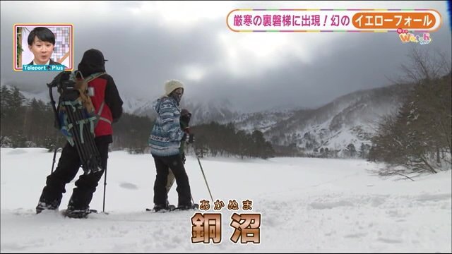 冬にしか見られない黄色に染まった珍しい滝「イエローフォール」がある銅沼