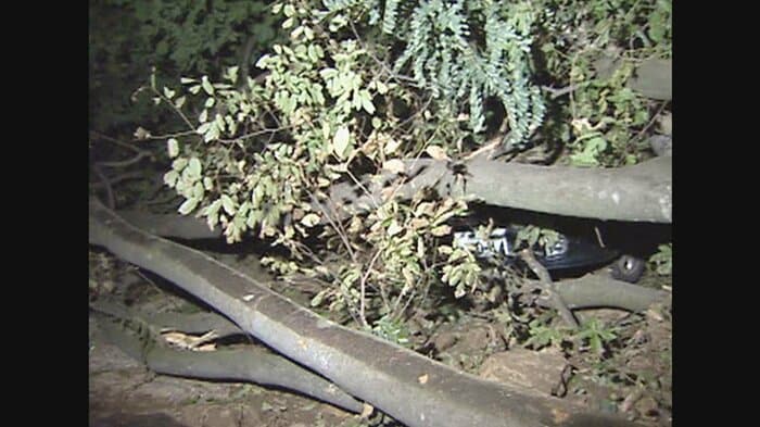 震災当日は3人を救助
