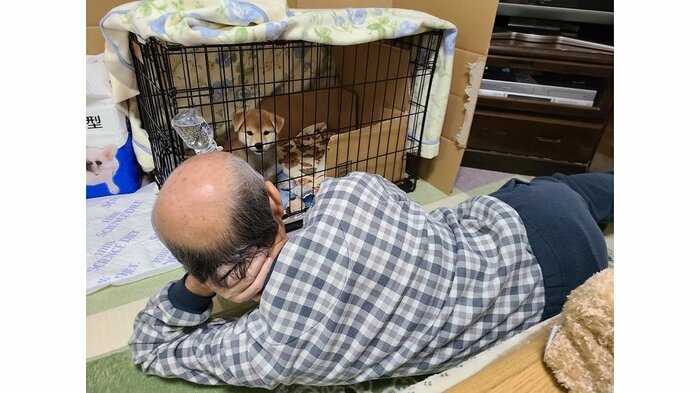 家族になったばかりの麦くんを見つめるお父さん