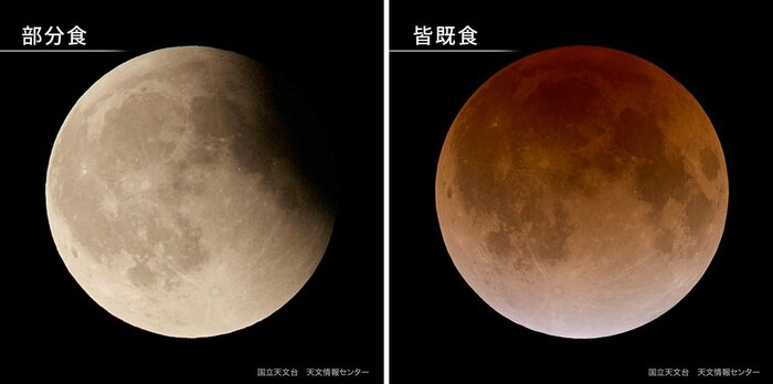 提供:国立天文台