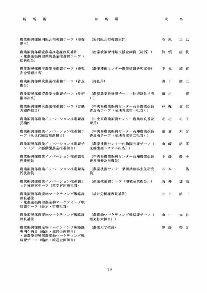 高知県人事異動・知事部局（1～3等級）19/40
