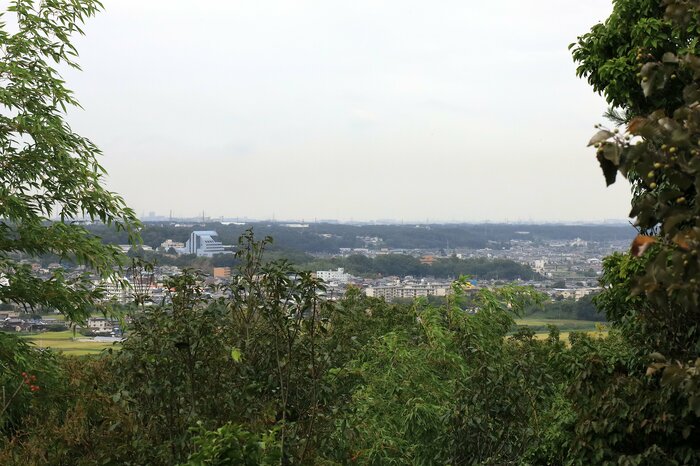 平井山之上付城の主郭から南西。中央右奥の緑の中に見える白い建物あたりが三木城