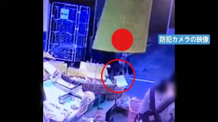 レジ袋有料化以降に急増 エコバッグ万引きの実態