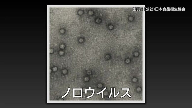 【続報】米子市の居酒屋で起きた集団食中毒　患者18人に増加　原因は「ノロウイルス」　（鳥取）｜FNNプライムオンライン