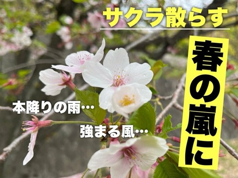 【広島の天気】本降りの雨と風で「春の嵐」か　南部中心に１０日未明から朝にかけて｜FNNプライムオンライン