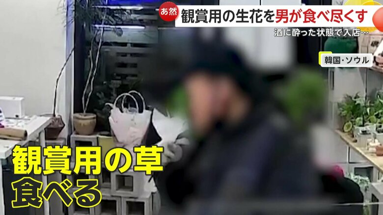 “まるでサラダバー”無人生花店で酔っぱらい男が“観賞用生花”食べ尽くす様子がカメラに　3時間滞在で店内荒れ放題　韓国・ソウル｜FNNプライムオンライン