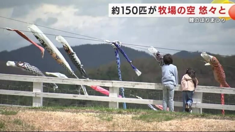 150匹の鯉のぼりが牧場の空を悠々と　こどもの日　県内の人口に占める子どもの割合は10.1％　岩手県葛巻町｜FNNプライムオンライン